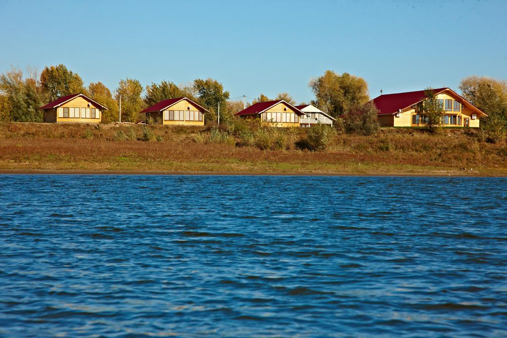 Золотая рыбка фото 31
