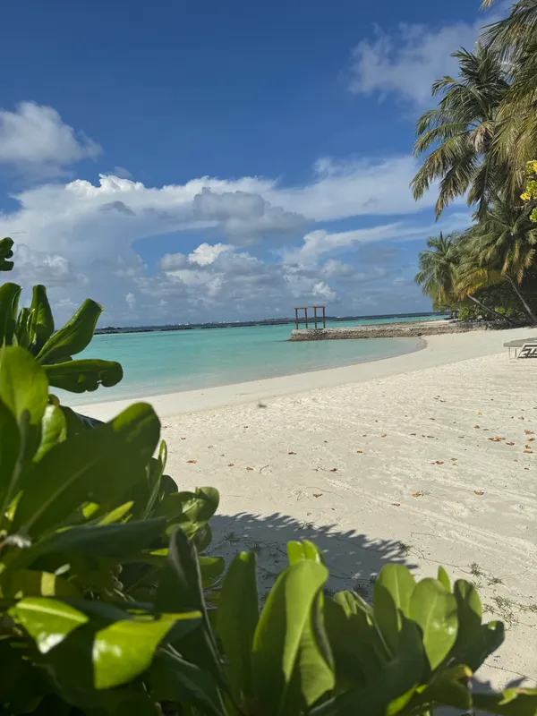 Niva Kurumba Maldives фото 66