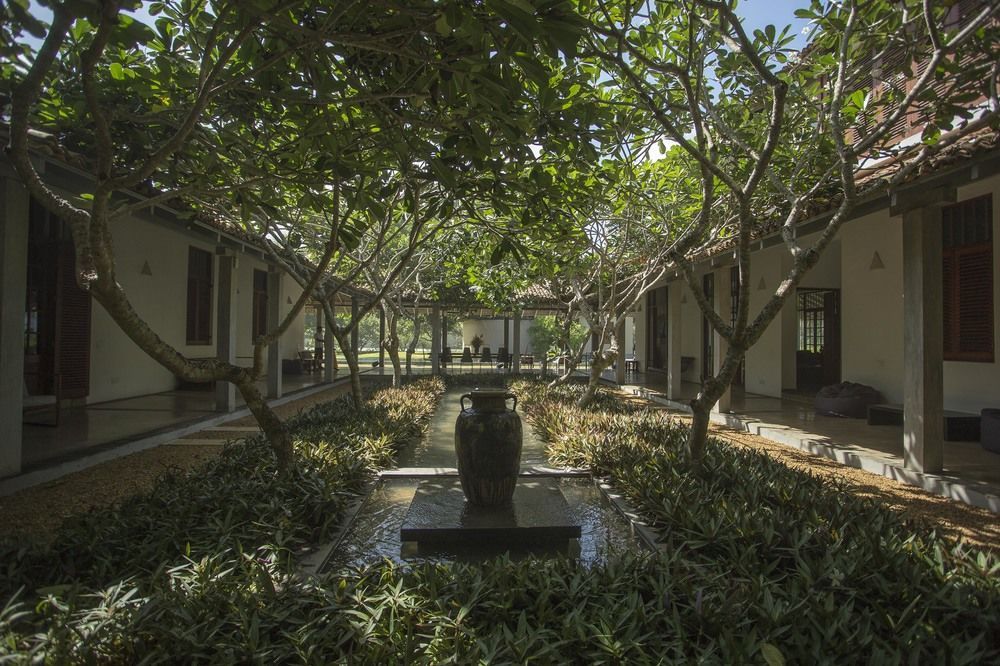 The Frangipani Tree by Edwards Collection фото 69
