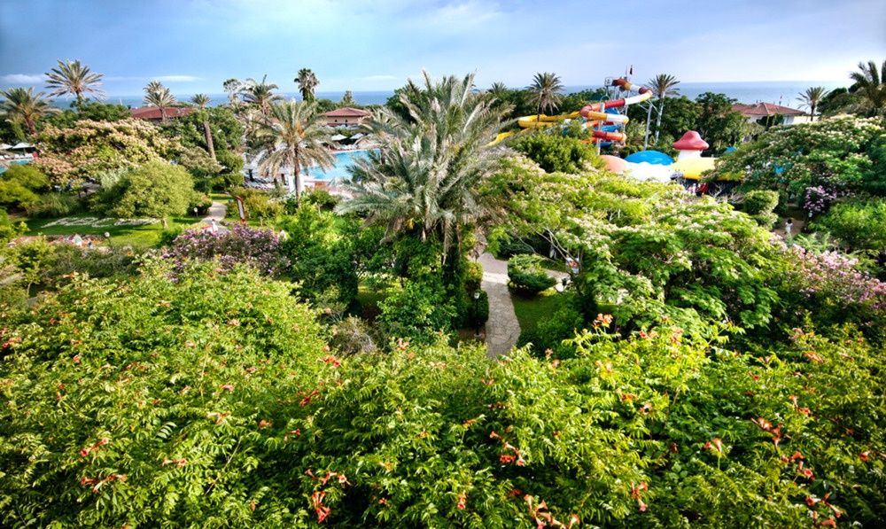 Belconti Resort фото 172