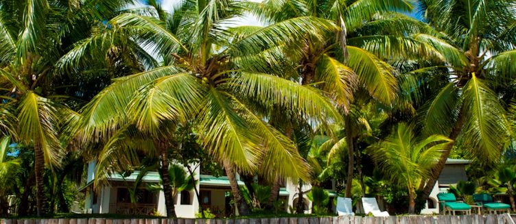 Фото отеля Indian Ocean Lodge
