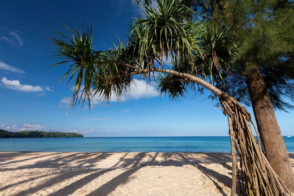 Sunwing Bangtao Beach фото 115