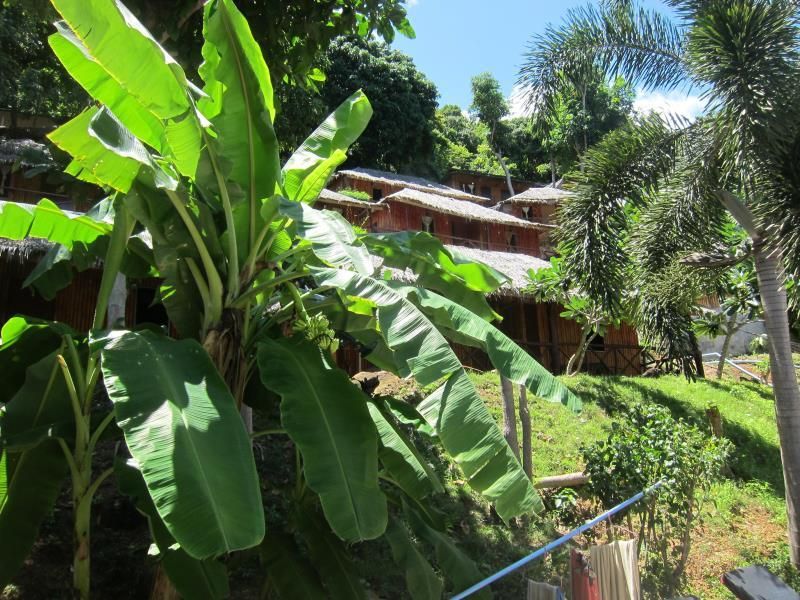 Bamboo Mountain View фото 29