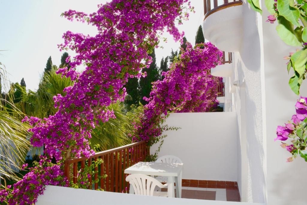 Natur Garden Hotel фото 55
