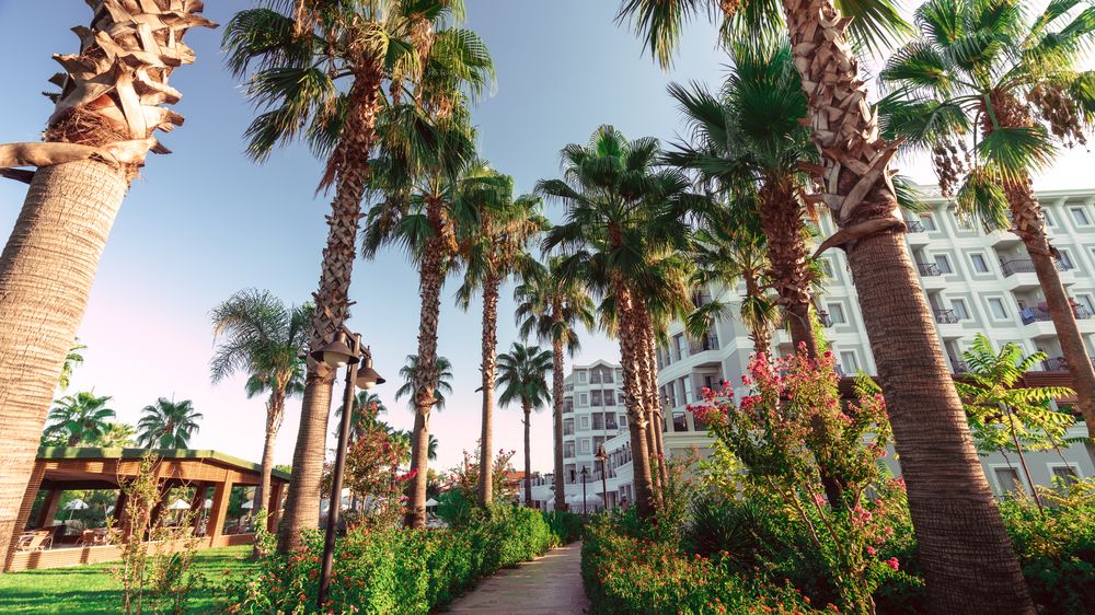 Royal Atlantis Beach Hotel фото 10