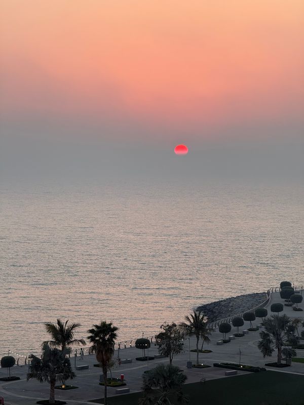 Movenpick Resort Al Marjan Island фото 54
