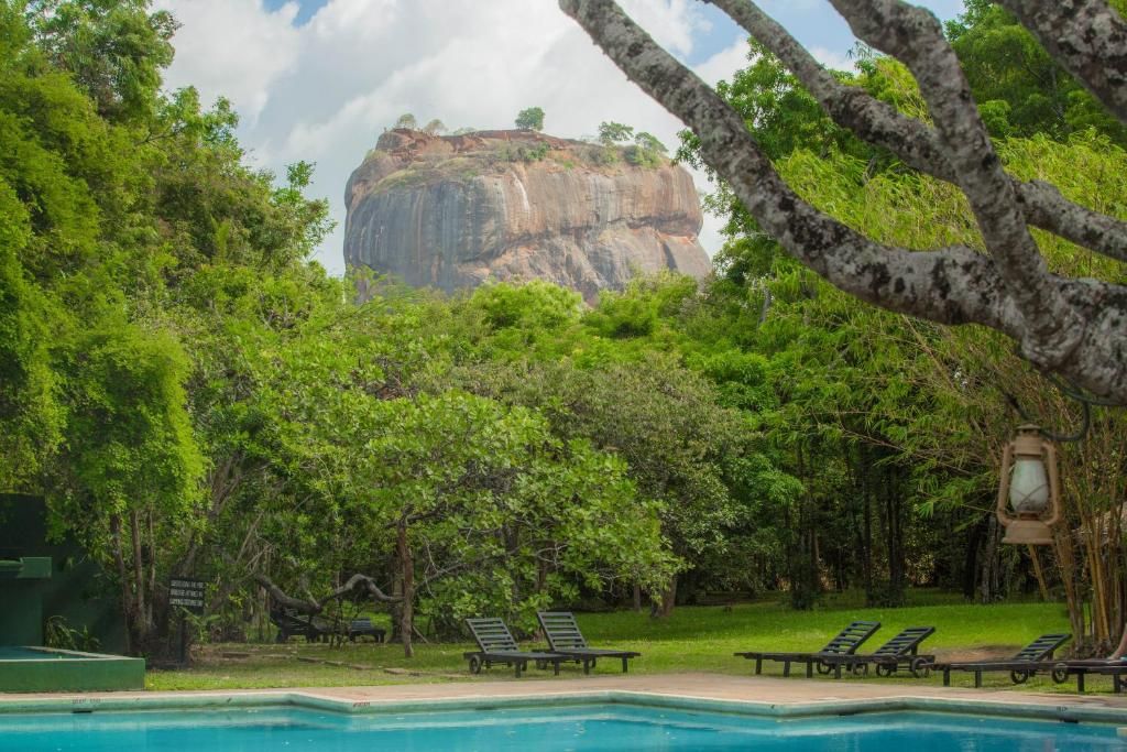 Sigiriya Village фото 41