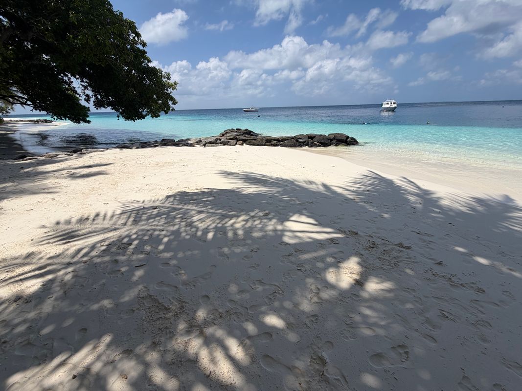 Fihalhohi Maldives фото 40