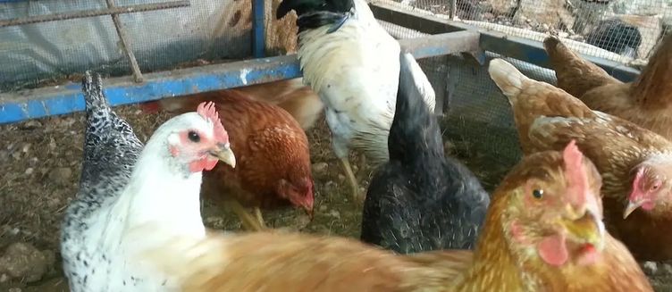 Фото отеля Beymelek Taş Evler