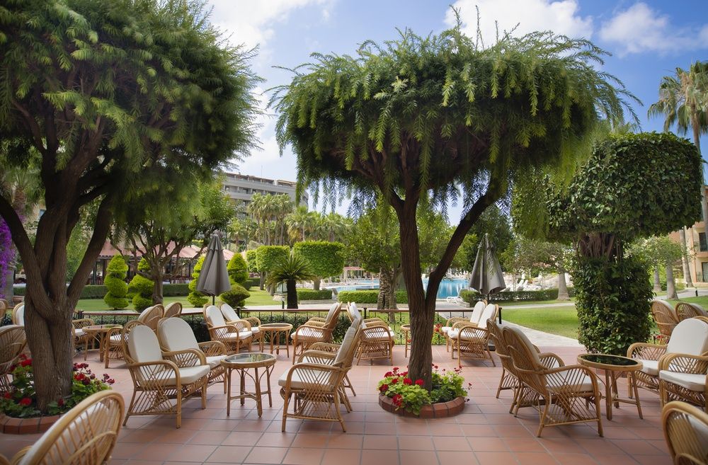 Miramare Queen фото 91