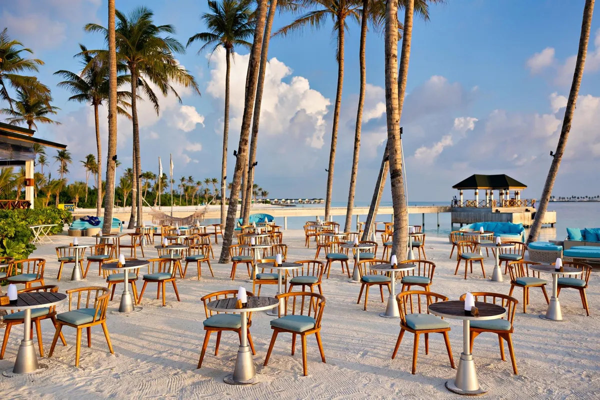 Joy Island фото 12