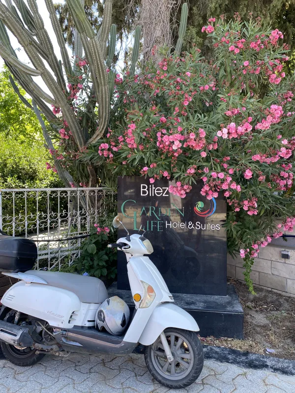Bitez Garden Life фото 67