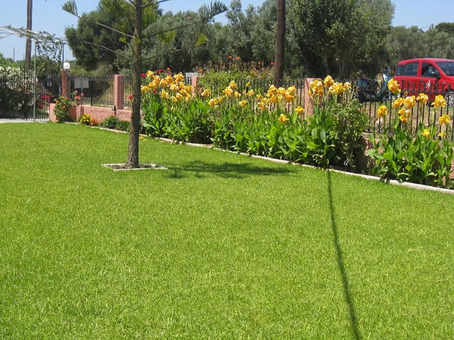 Studios Paradise фото 21