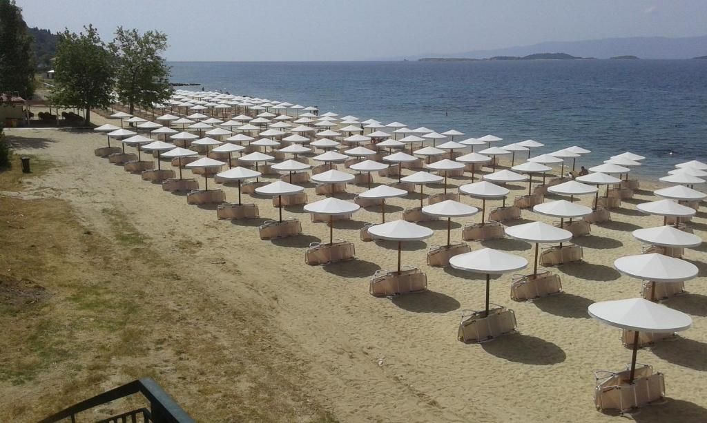 Akrathos Beach Hotel фото 20