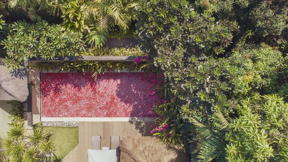 The Pavilions Bali фото 72
