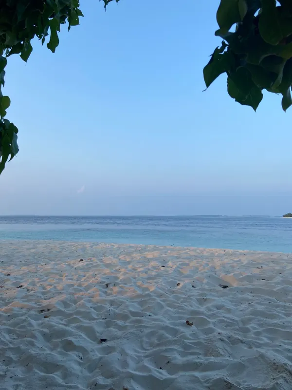 Dhonfulhafi Beach View & Spa фото 28