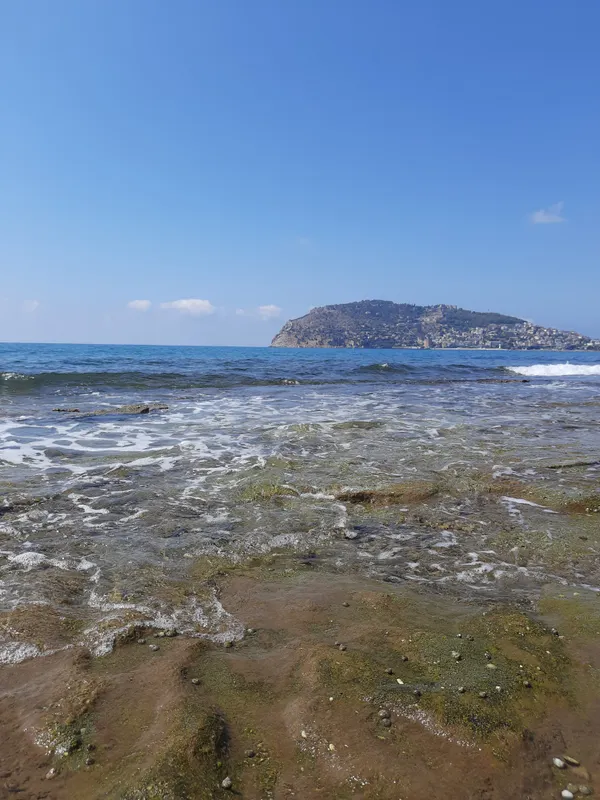 Alanya Risus Park Hotel фото 50