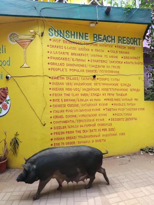 Guest House «Sunshine Guest House» фото 15