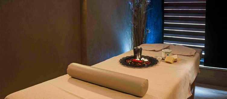 Фото отеля Istanbul Medikal Termal Hotel