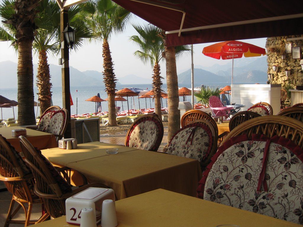 Hotel Palm Beach фото 0