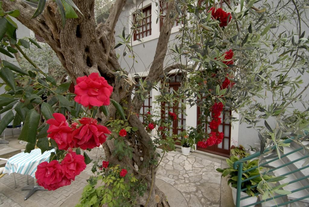 Casa di Oliveto фото 21