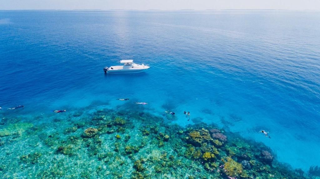 Guest House ««Reveries Maldives» Guest House» фото 54