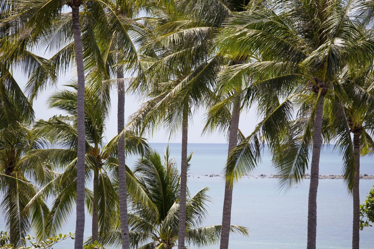 Chura Samui фото 19