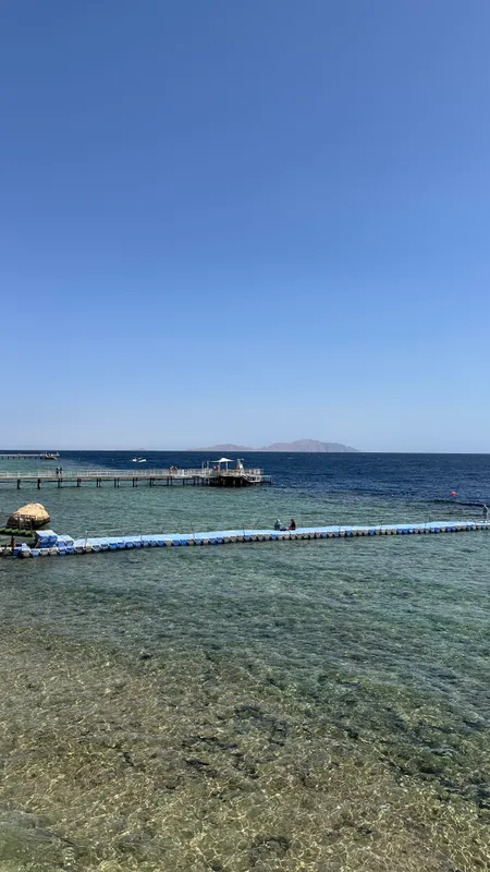 Pickalbatros Royal Grand Resort Sharm El Sheikh (Adults Only) фото 73