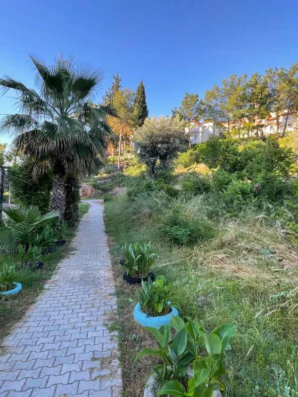 Senza Garden Holiday Club фото 67