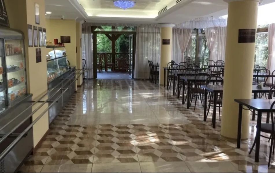 Светлана Голд фото 4
