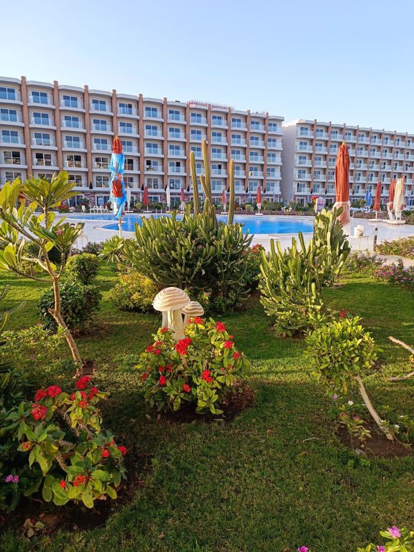 Rewaya Majestic Resort фото 314