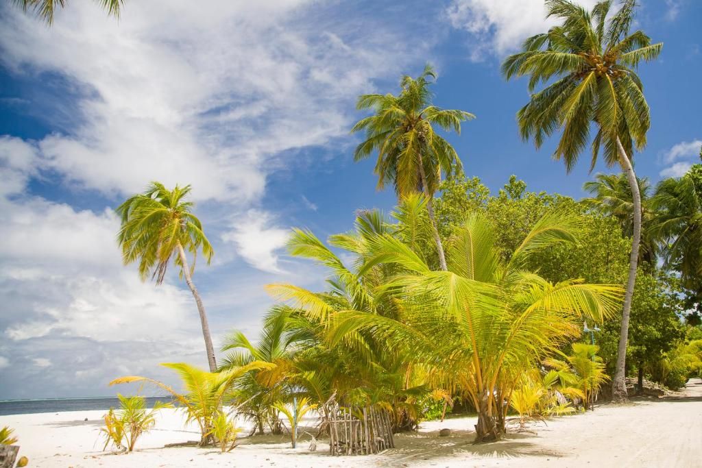 Dhonfulhafi Beach View & Spa фото 68