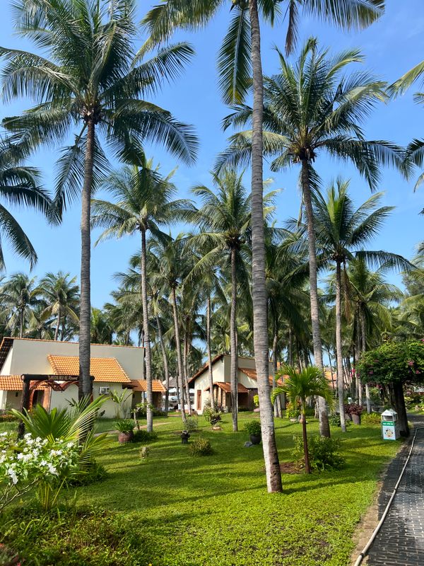 Saigon Mui Ne Resort фото 65