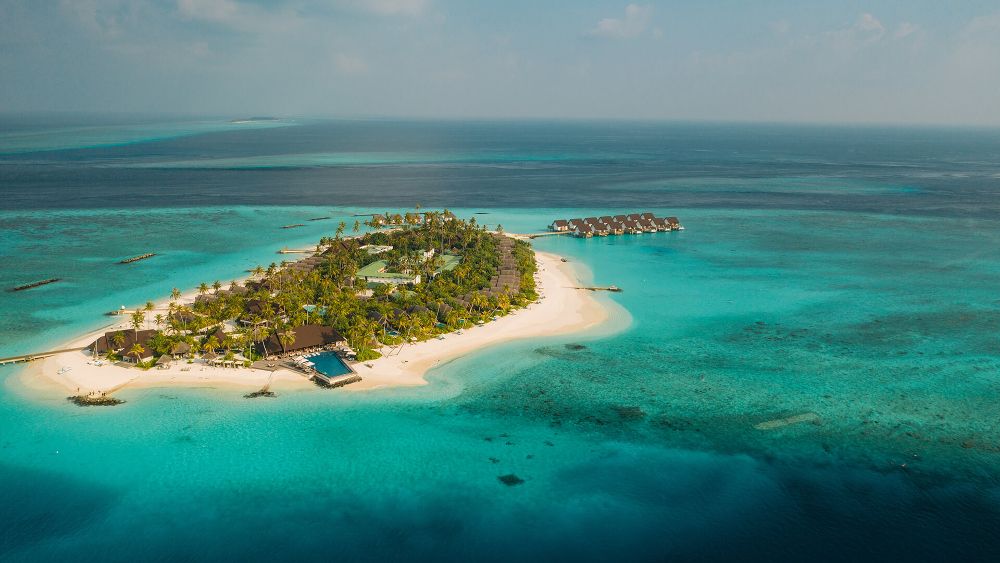Fushifaru Maldives фото 68