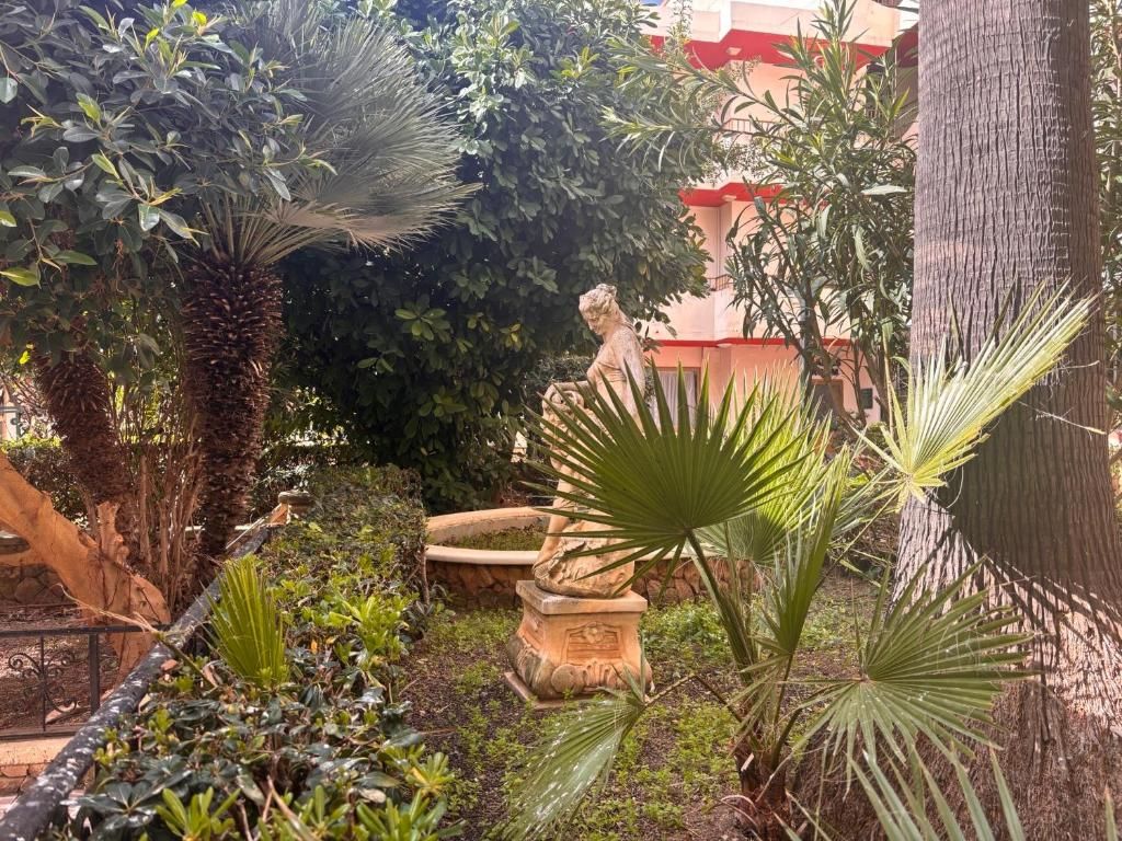 The San Anton Hotel фото 32