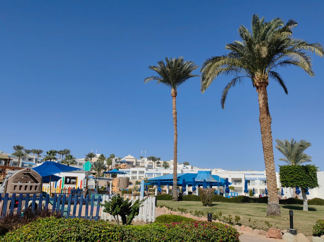 Renaissance Sharm El Sheikh Golden View Beach Resort фото 152