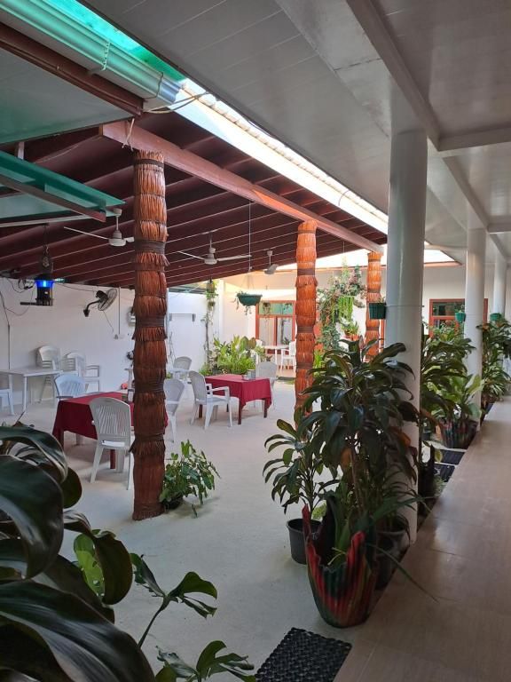 Guest House «Summer Sky Thoddoo Guest House» фото 5