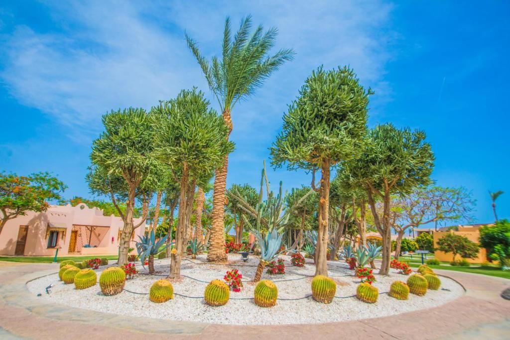 Nubian Village фото 119