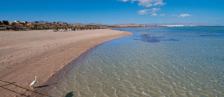 Фото отеля Amwaj Oyoun Resort