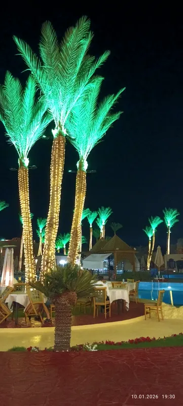 Nubian Island Hotel фото 63