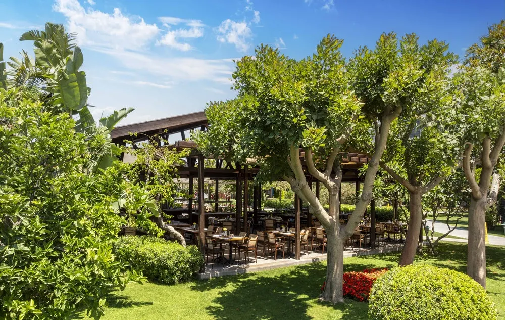 Barut Goia фото 120