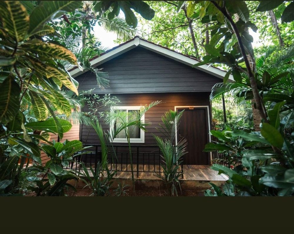 Nasya's Beach Side Cottages фото 42