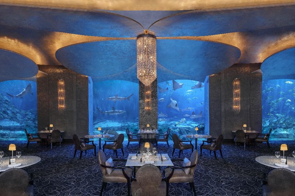 Atlantis The Palm фото 51