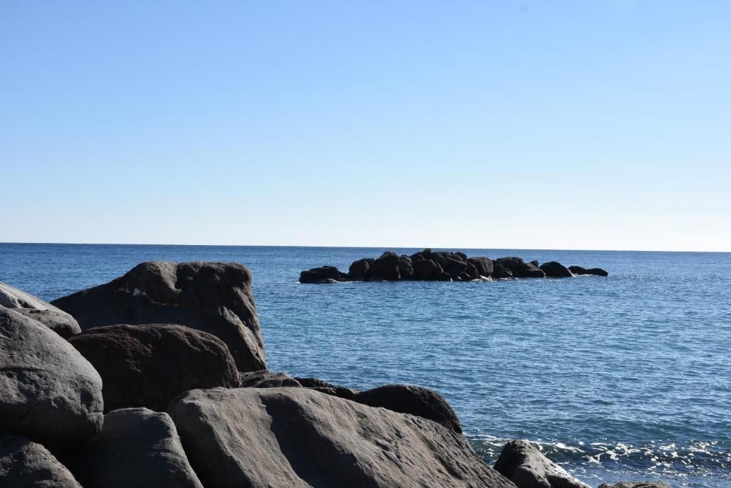 Arion Bay фото 43