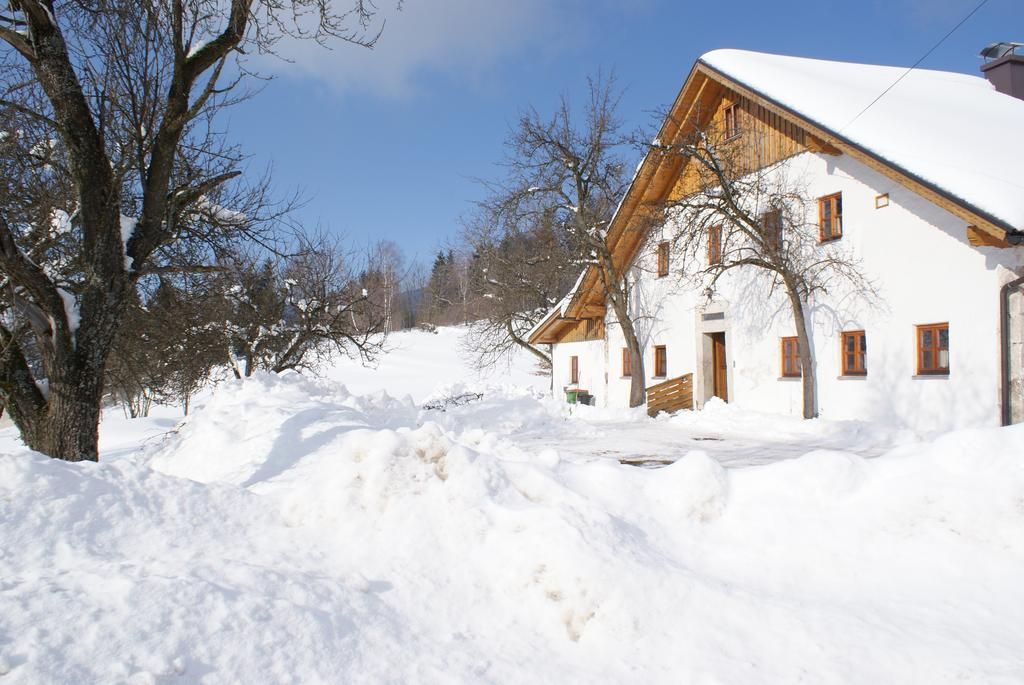 Haus Bohmerwald фото 3