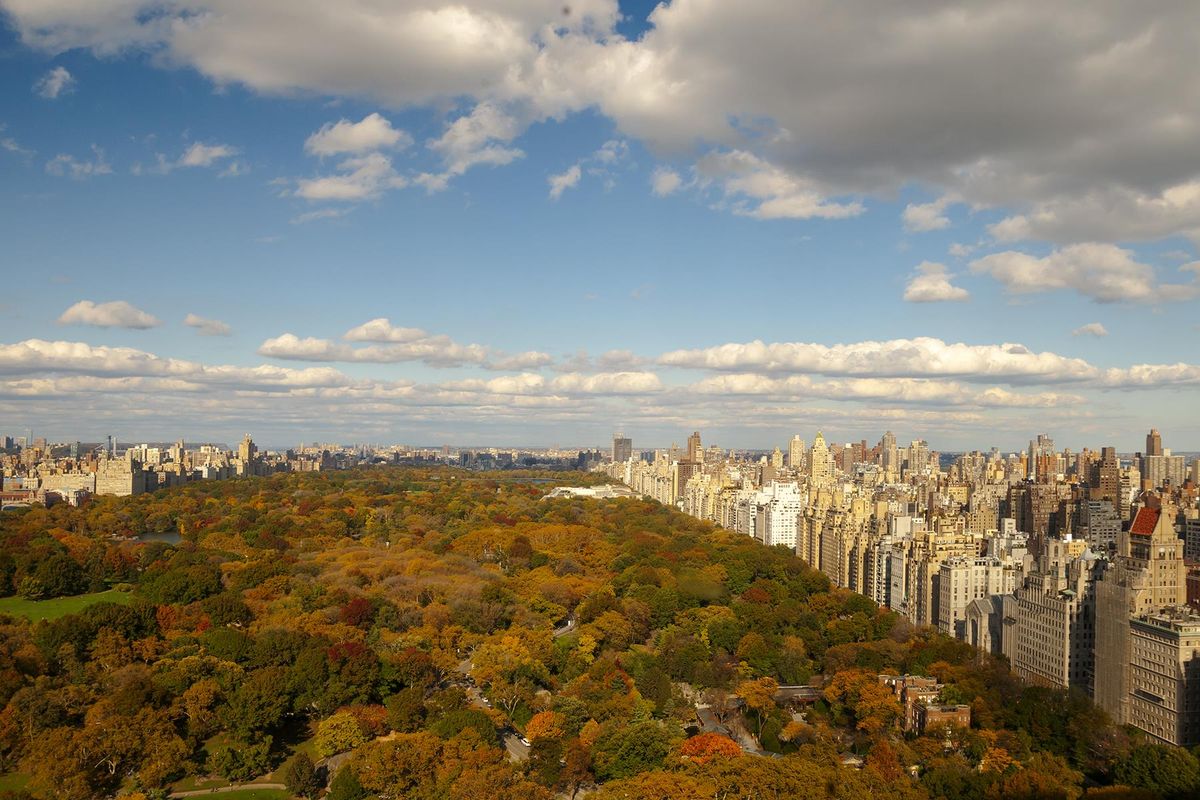 Park Lane Hotel - A Central Park Hotel фото 17