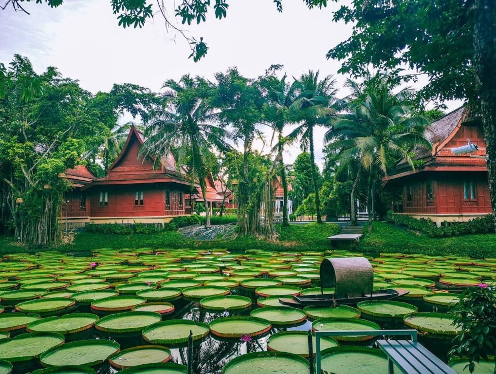 Ma Doo Bua Phuket фото 32