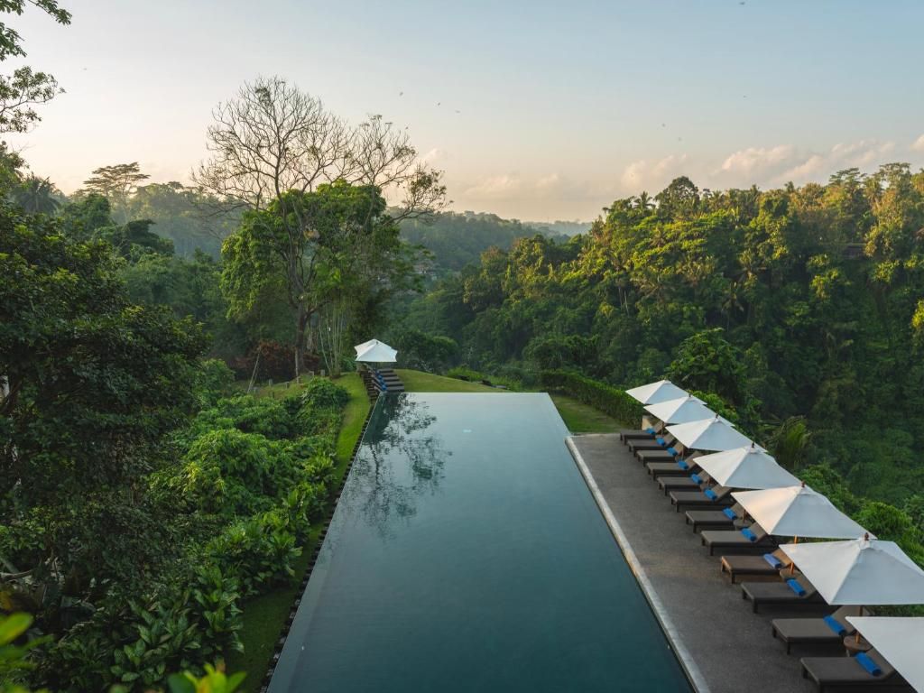 Alila Ubud фото 39