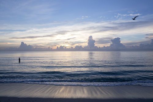 Ritz Carlton South Beach фото 45
