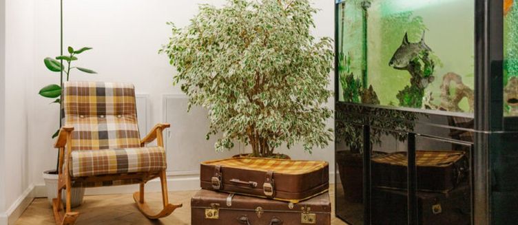 Фото отеля Дублин Сити